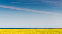Blue and Yellow Coast