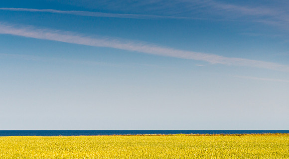 Blue and Yellow Coast