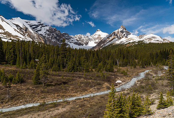 Hilda Creek towards Hilda Peak