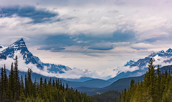 North from the Heights