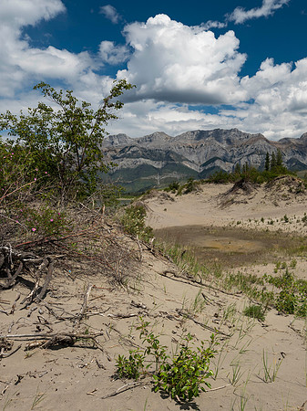 Jasper Desert