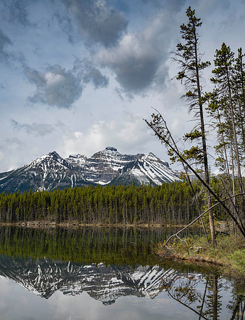 Morning at Herbert Lake