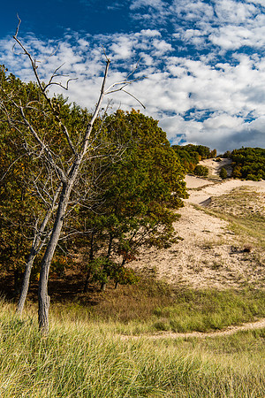 On the Dunes