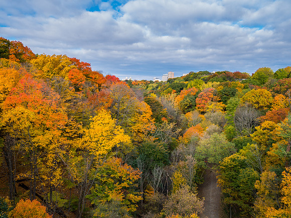 West from Glen Road in Fall