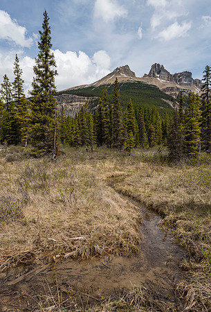 Totem Tower from Waterfowl Lakes