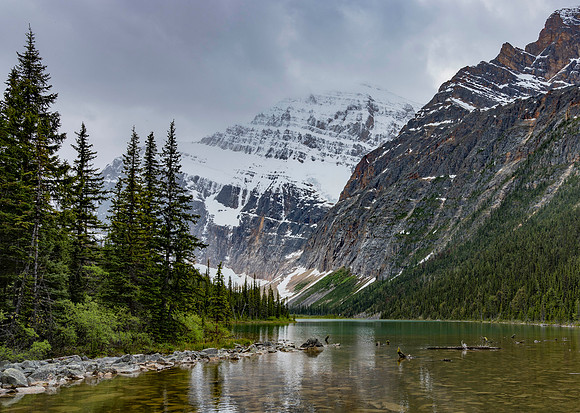 Mount Edith Cavell from Cavell Lake