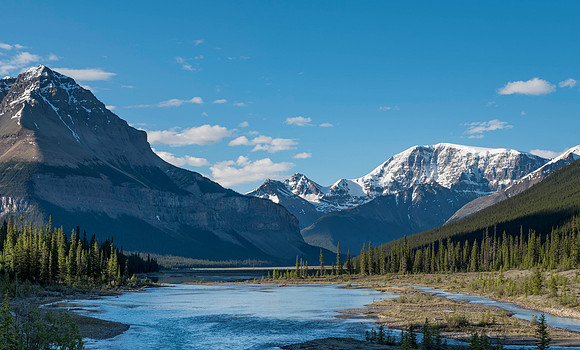 Tangle Ridge and Mt. Kitchener