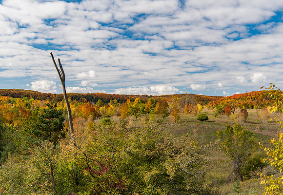 Mono Cliffs in Fall
