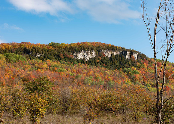 Old Baldy