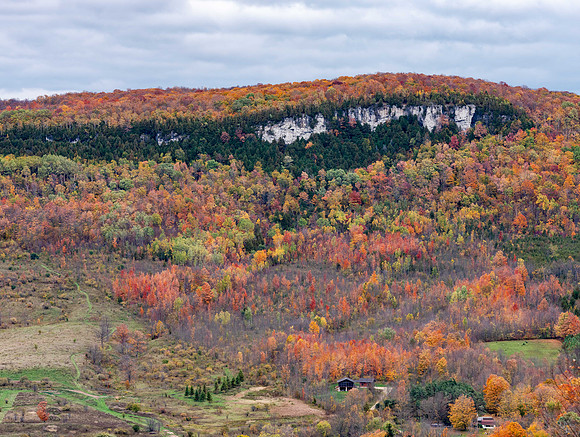 Old Baldy Forest