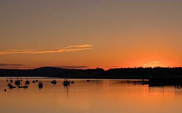 St Andrews Harbour