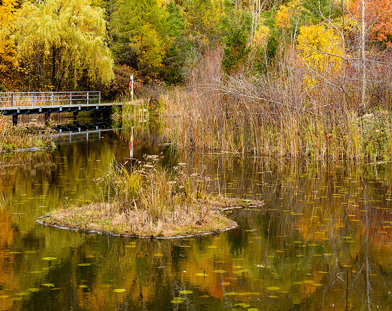 Island in the Pond
