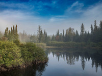 Morning at Western Uplands Trailhead