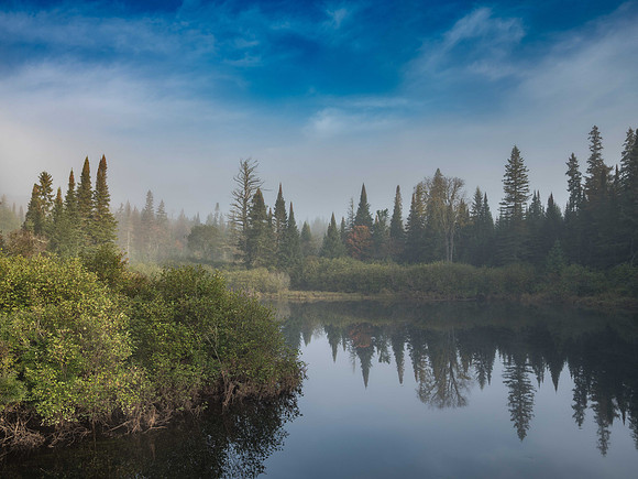 Morning at Western Uplands Trailhead