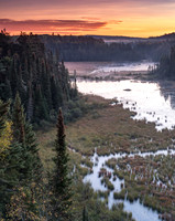 Beaver Pond Morning