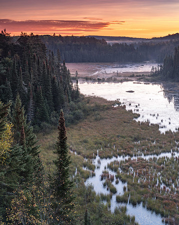 Beaver Pond Morning