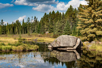 Beaver Pond on Opeongo Lake Road