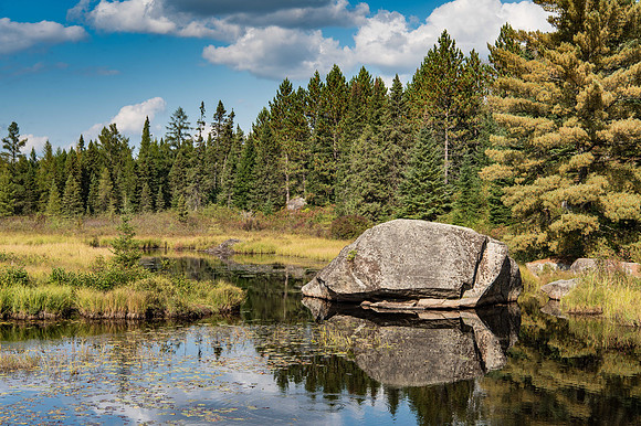 Beaver Pond on Opeongo Lake Road