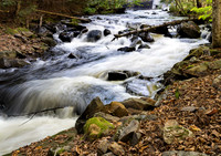 Rapids on Track and Tower Trail