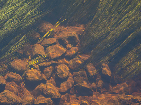 Riverbottom