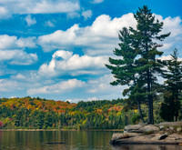 Rock Lake in Early Fall Colour