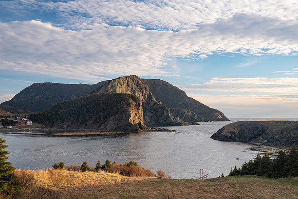 Bottle Cove