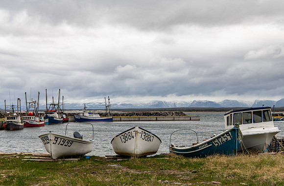 Not Busy at Cow Head Harbour
