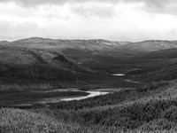 Lomond Valley Early June