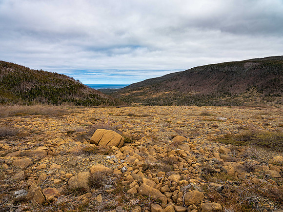 Wallace Valley