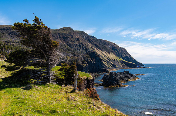 Windblown at the Edge