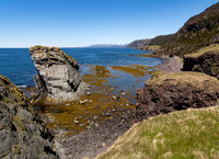 Stack on the Coast