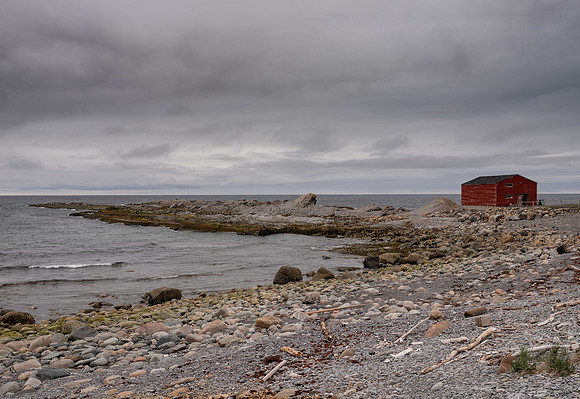 Alone at Broom Point