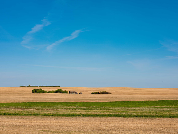 Abandoned in Forever