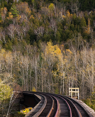 Ok on the Track