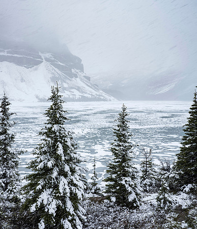 June Snowstorm at Bow Lake