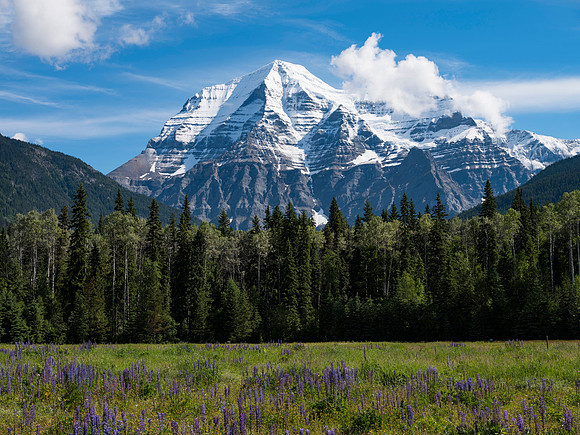 Mount Robson