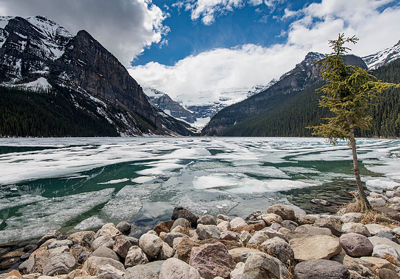 Lake Louise Ice Floes