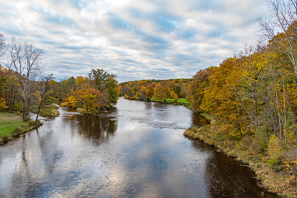 Flat River Forest
