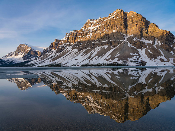 Crowfoot reflection