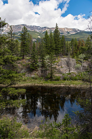 Valley Trail View