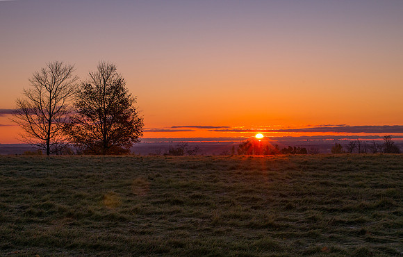 Two Trees with Sunrise