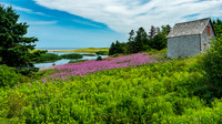 Cabin by the Sea