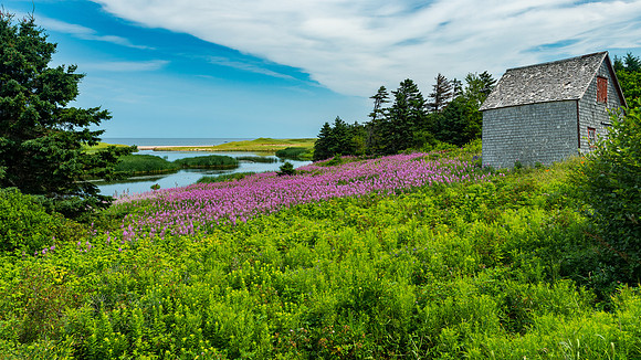Cabin by the Sea