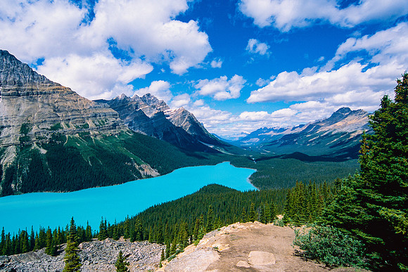 Peyto Lake