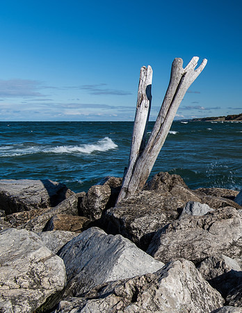 Driftwood Rock and Beach