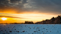 Caledon Morning