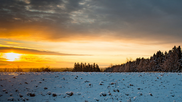 Caledon Morning