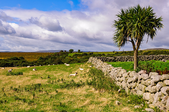Ballyveagh Field and Fence