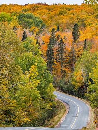 Curve Colour