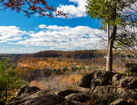 Buffalo Craig Trail Scene